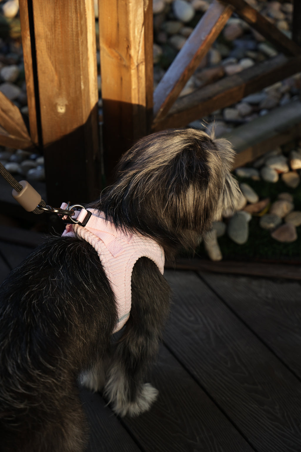 VELVET Dog harness Petal Pink