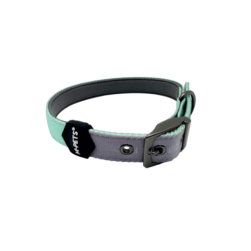 COLLARE IMBOTTITO GENTILE PER CANE Verde