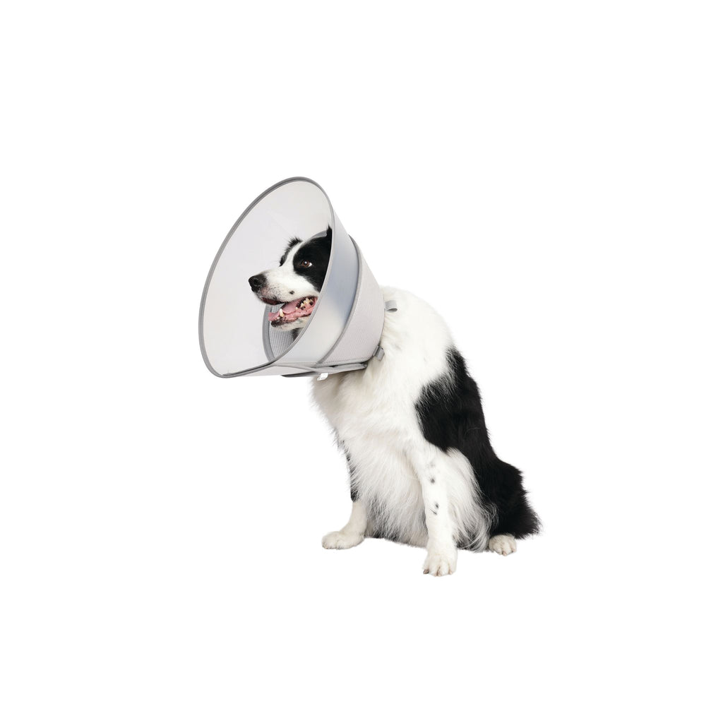 PROCARE Cone Collar