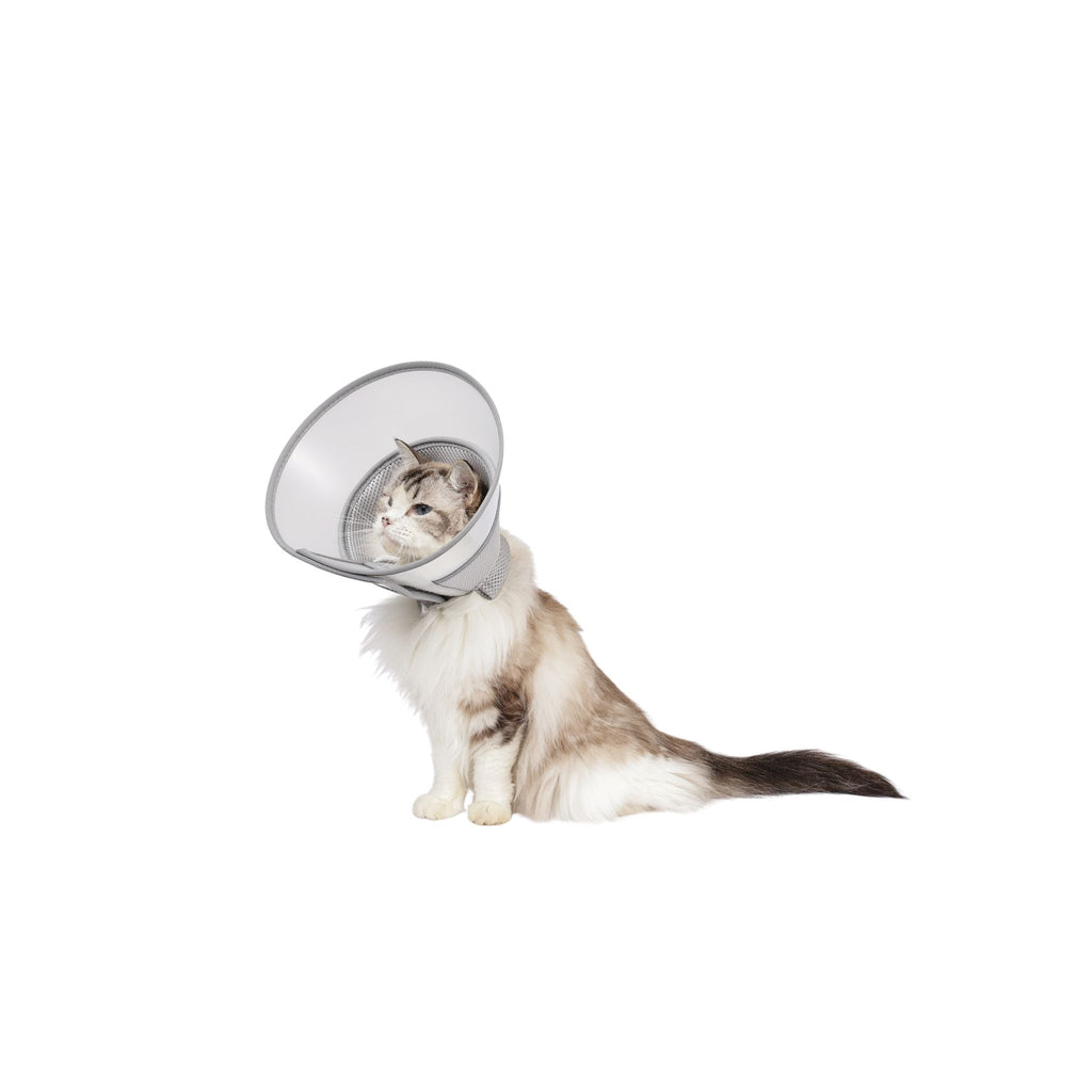 PROCARE Cone Collar