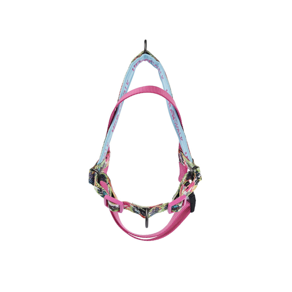 URBAN STYLE GRAFFITI Norwegian Dog harness