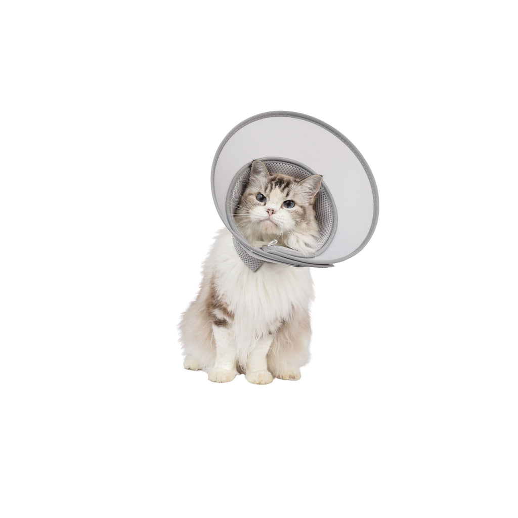 PROCARE Cone Collar