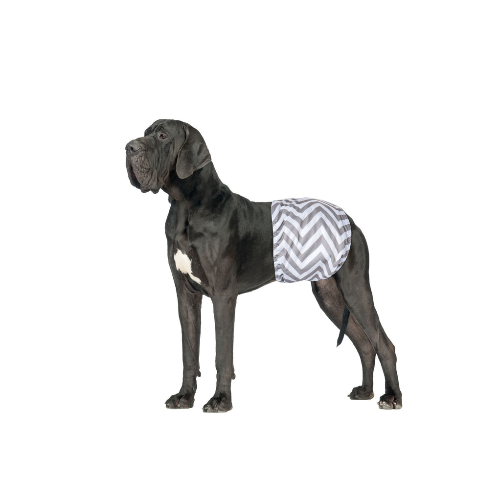 Male Dog Washable Diaper 2pcs