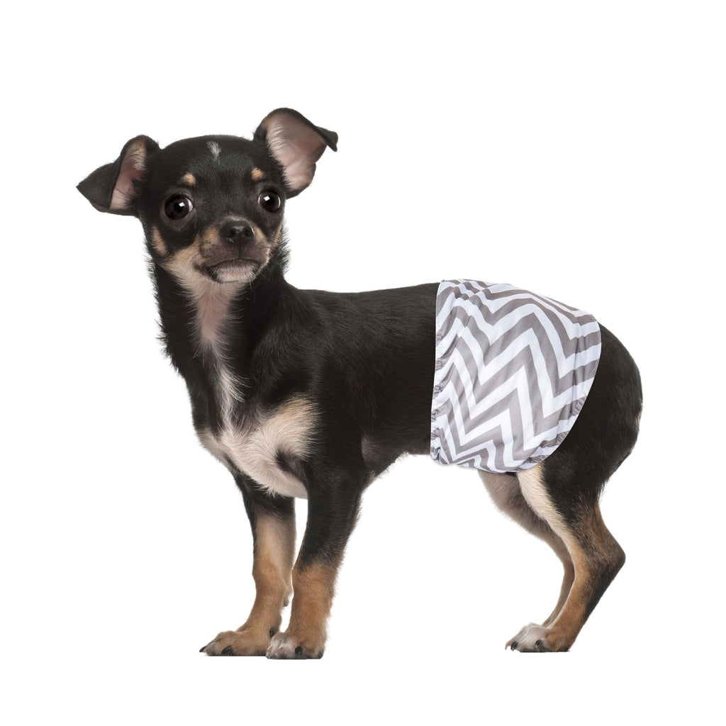 Male Dog Washable Diaper 2pcs