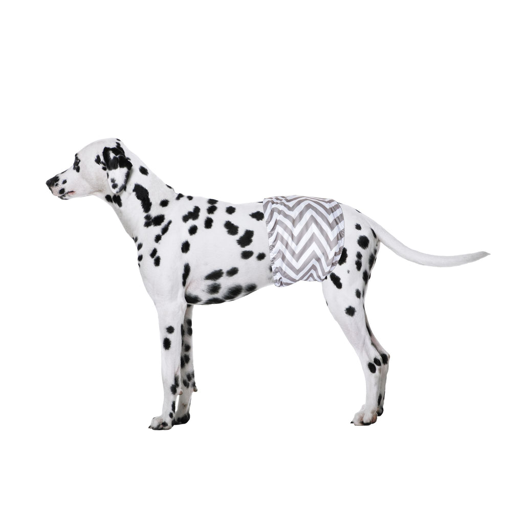 Male Dog Washable Diaper 2pcs