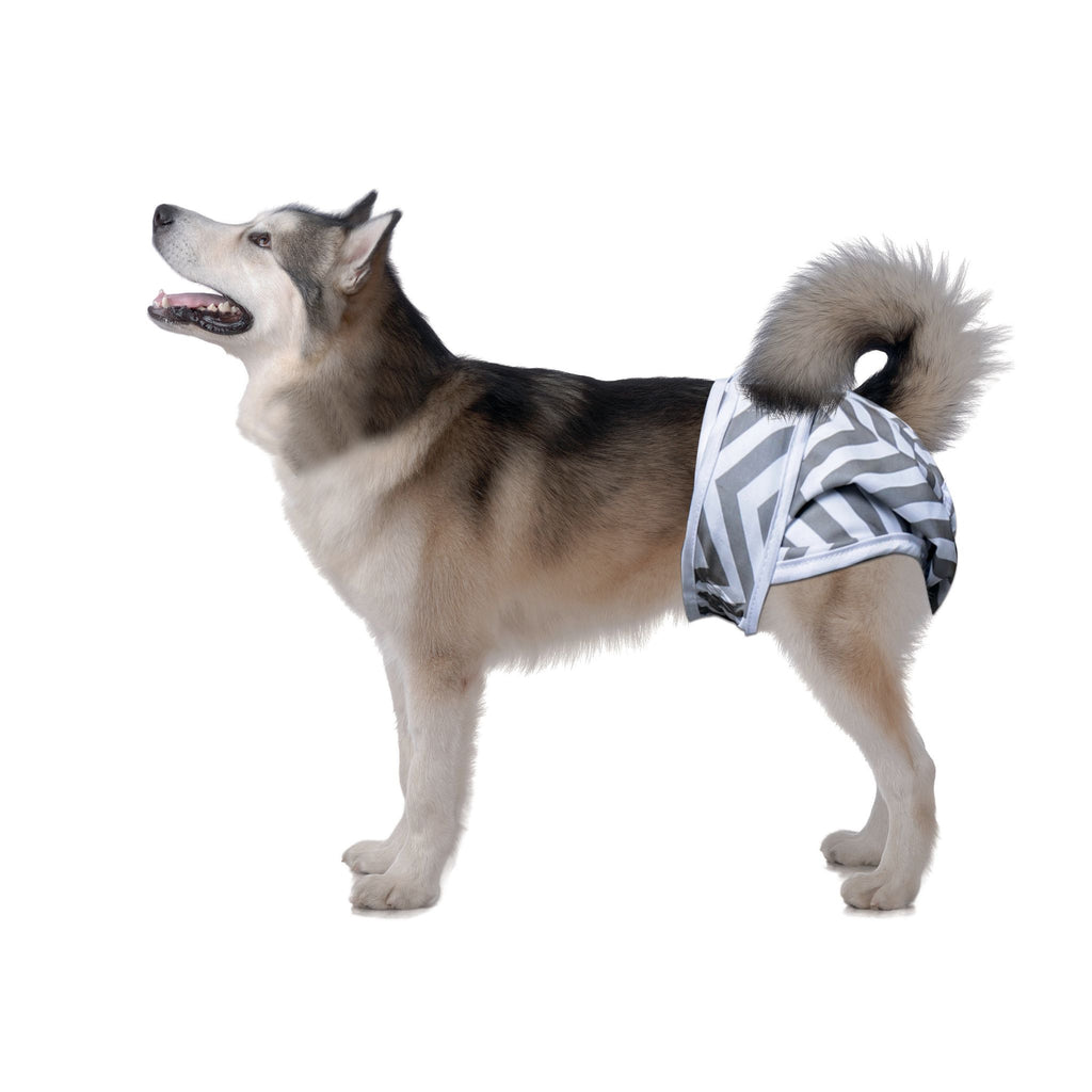 Female Dog Washable Diaper 2pcs