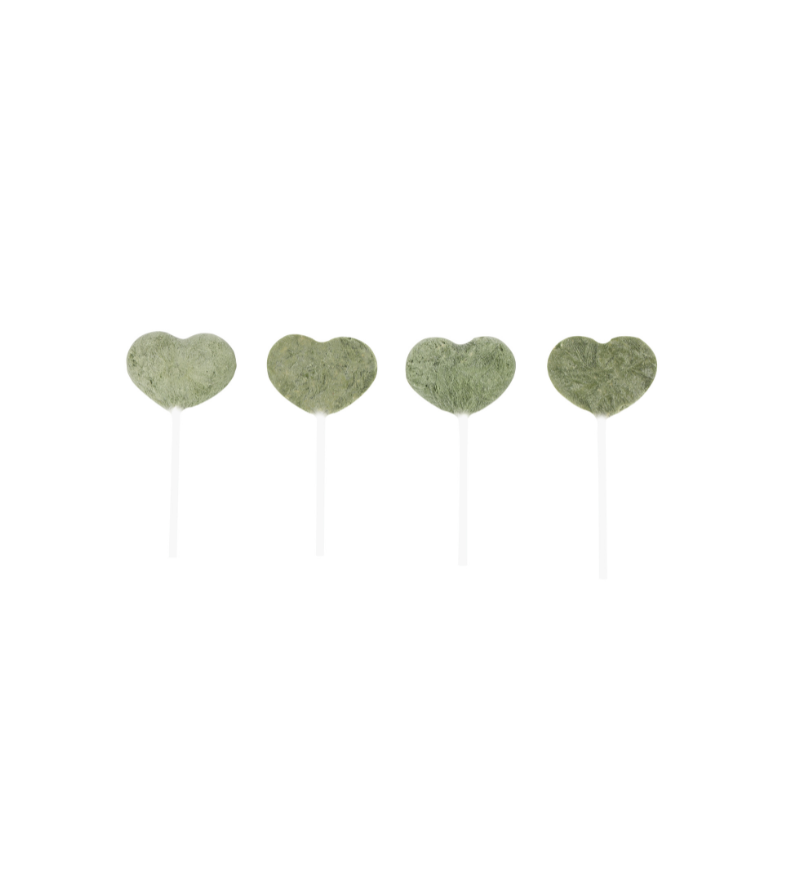 Lolliheart Snack per gatti Pollo e Erba gatta Espositore