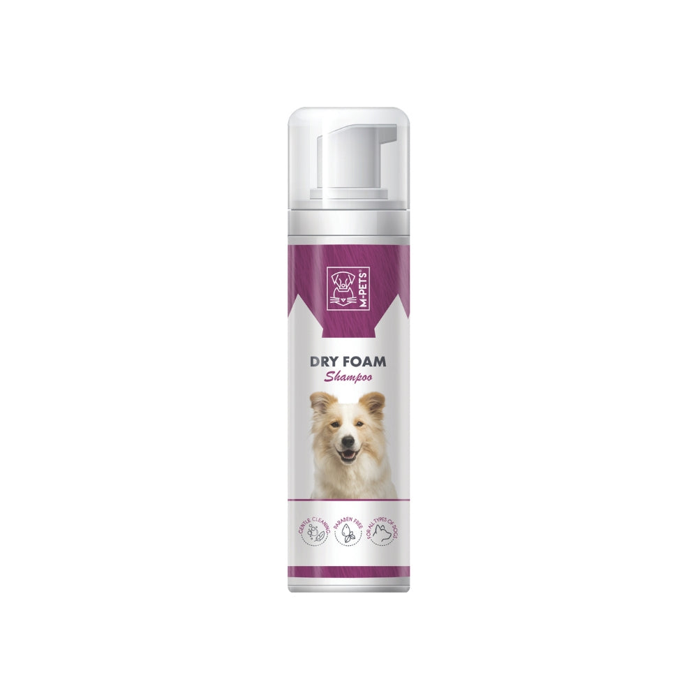 FOAM ASCIUTTO 230 ml