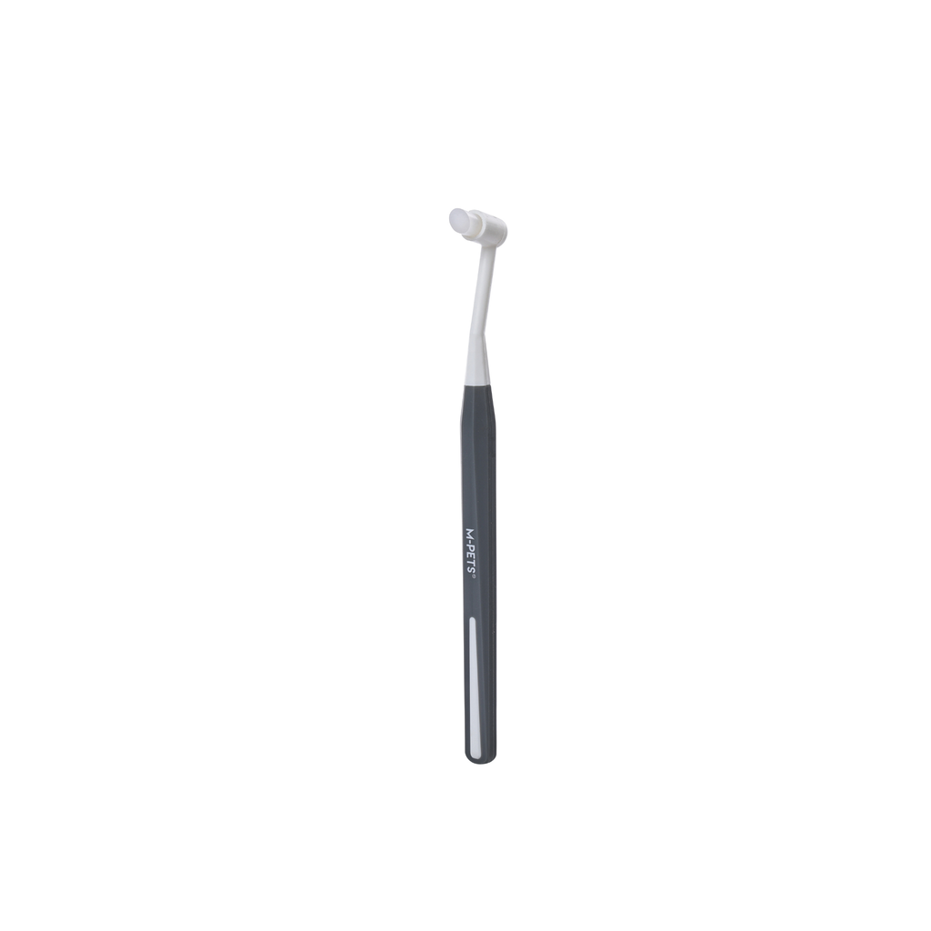 Dental Toothbrush SET - 2pcs
