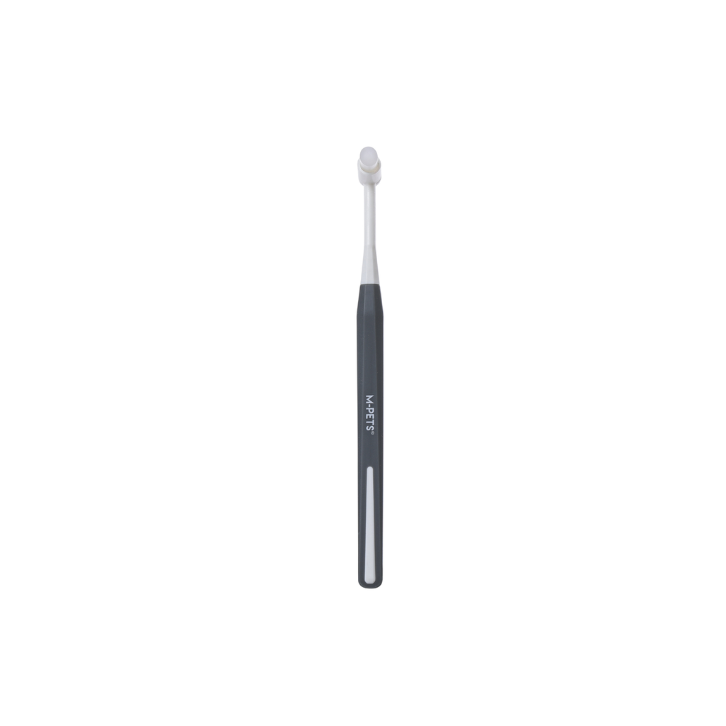 Dental Toothbrush SET - 2pcs